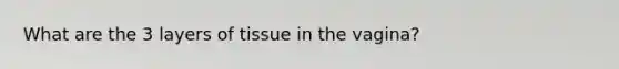 What are the 3 layers of tissue in the vagina?