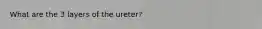 What are the 3 layers of the ureter?