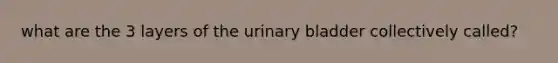 what are the 3 layers of the urinary bladder collectively called?