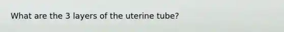 What are the 3 layers of the uterine tube?