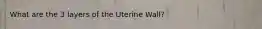 What are the 3 layers of the Uterine Wall?