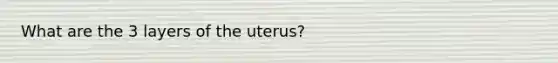 What are the 3 layers of the uterus?