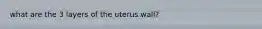 what are the 3 layers of the uterus wall?