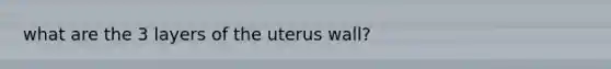 what are the 3 layers of the uterus wall?