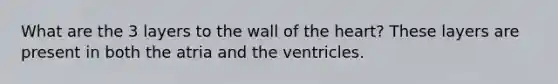 What are the 3 layers to the wall of the heart? These layers are present in both the atria and the ventricles.