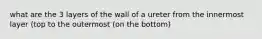 what are the 3 layers of the wall of a ureter from the innermost layer (top to the outermost (on the bottom)