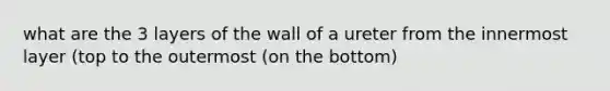 what are the 3 layers of the wall of a ureter from the innermost layer (top to the outermost (on the bottom)