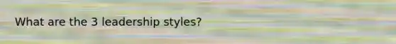 What are the 3 leadership styles?