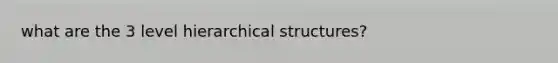 what are the 3 level hierarchical structures?