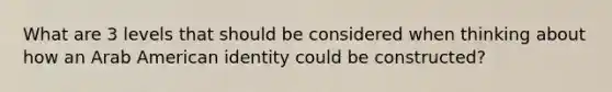 What are 3 levels that should be considered when thinking about how an Arab American identity could be constructed?