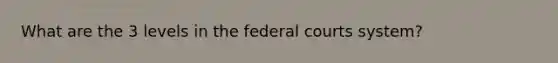 What are the 3 levels in the federal courts system?