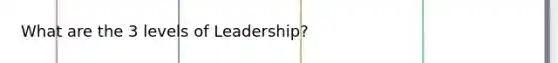 What are the 3 levels of Leadership?