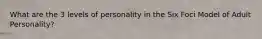 What are the 3 levels of personality in the Six Foci Model of Adult Personality?