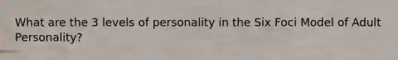 What are the 3 levels of personality in the Six Foci Model of Adult Personality?