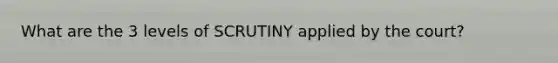 What are the 3 levels of SCRUTINY applied by the court?