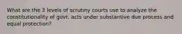 What are the 3 levels of scrutiny courts use to analyze the constitutionality of govt. acts under substantive due process and equal protection?