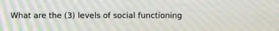 What are the (3) levels of social functioning