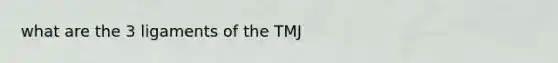 what are the 3 ligaments of the TMJ