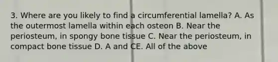 3. Where are you likely to find a circumferential lamella? A. As the outermost lamella within each osteon B. Near the periosteum, in spongy bone tissue C. Near the periosteum, in compact bone tissue D. A and CE. All of the above