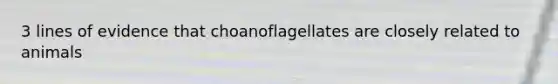 3 lines of evidence that choanoflagellates are closely related to animals