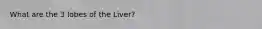 What are the 3 lobes of the Liver?
