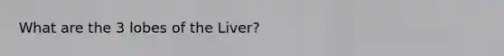 What are the 3 lobes of the Liver?