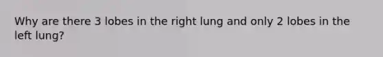 Why are there 3 lobes in the right lung and only 2 lobes in the left lung?