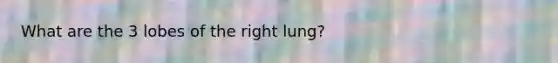 What are the 3 lobes of the right lung?