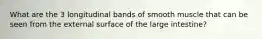 What are the 3 longitudinal bands of smooth muscle that can be seen from the external surface of the large intestine?