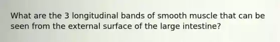 What are the 3 longitudinal bands of smooth muscle that can be seen from the external surface of the <a href='https://www.questionai.com/knowledge/kGQjby07OK-large-intestine' class='anchor-knowledge'>large intestine</a>?