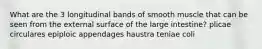 What are the 3 longitudinal bands of smooth muscle that can be seen from the external surface of the large intestine? plicae circulares epiploic appendages haustra teniae coli