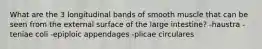 What are the 3 longitudinal bands of smooth muscle that can be seen from the external surface of the large intestine? -haustra -teniae coli -epiploic appendages -plicae circulares