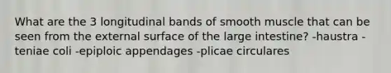 What are the 3 longitudinal bands of smooth muscle that can be seen from the external surface of the large intestine? -haustra -teniae coli -epiploic appendages -plicae circulares