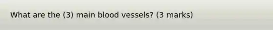 What are the (3) main blood vessels? (3 marks)