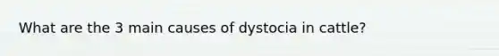 What are the 3 main causes of dystocia in cattle?