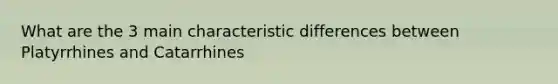 What are the 3 main characteristic differences between Platyrrhines and Catarrhines