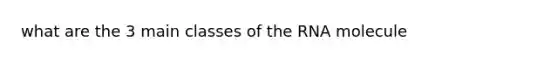 what are the 3 main classes of the RNA molecule