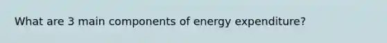 What are 3 main components of energy expenditure?