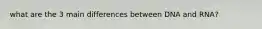 what are the 3 main differences between DNA and RNA?