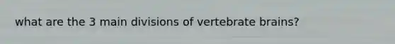 what are the 3 main divisions of vertebrate brains?