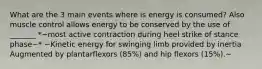 What are the 3 main events where is energy is consumed? Also muscle control allows energy to be conserved by the use of _______ *~most active contraction during heel strike of stance phase~* ~Kinetic energy for swinging limb provided by inertia Augmented by plantarflexors (85%) and hip flexors (15%).~