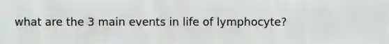 what are the 3 main events in life of lymphocyte?