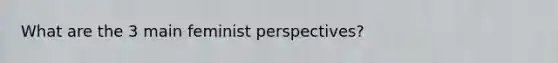 What are the 3 main feminist perspectives?