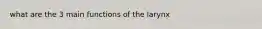 what are the 3 main functions of the larynx