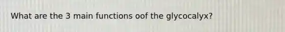 What are the 3 main functions oof the glycocalyx?