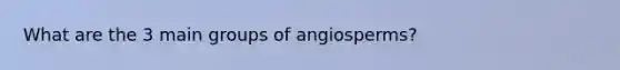 What are the 3 main groups of angiosperms?