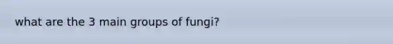 what are the 3 main groups of fungi?