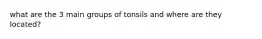 what are the 3 main groups of tonsils and where are they located?