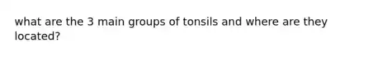 what are the 3 main groups of tonsils and where are they located?