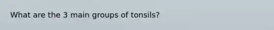 What are the 3 main groups of tonsils?